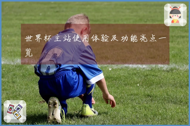 世界杯主站使用体验及功能亮点一览