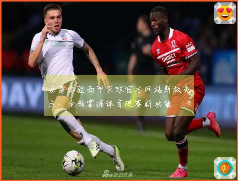 亲身体验西甲买球官方网站新版亮点，全面掌握体育观赛新功能