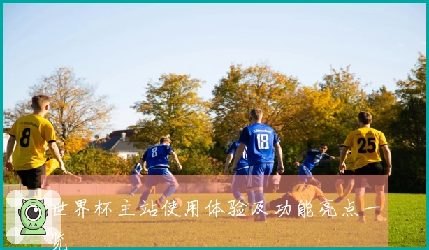 世界杯主站使用体验及功能亮点一览